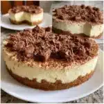 No-Bake Tiramisu Cheesecake 7 no bake tiramisu cheesecake 2026 02 16 231537 1