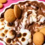 Deliciously Creamy Chocolate Pudding Dip (Perfect Dessert Dip) 7 deliciously creamy chocolate pudding dip perfect 2026 07 05 103921 1